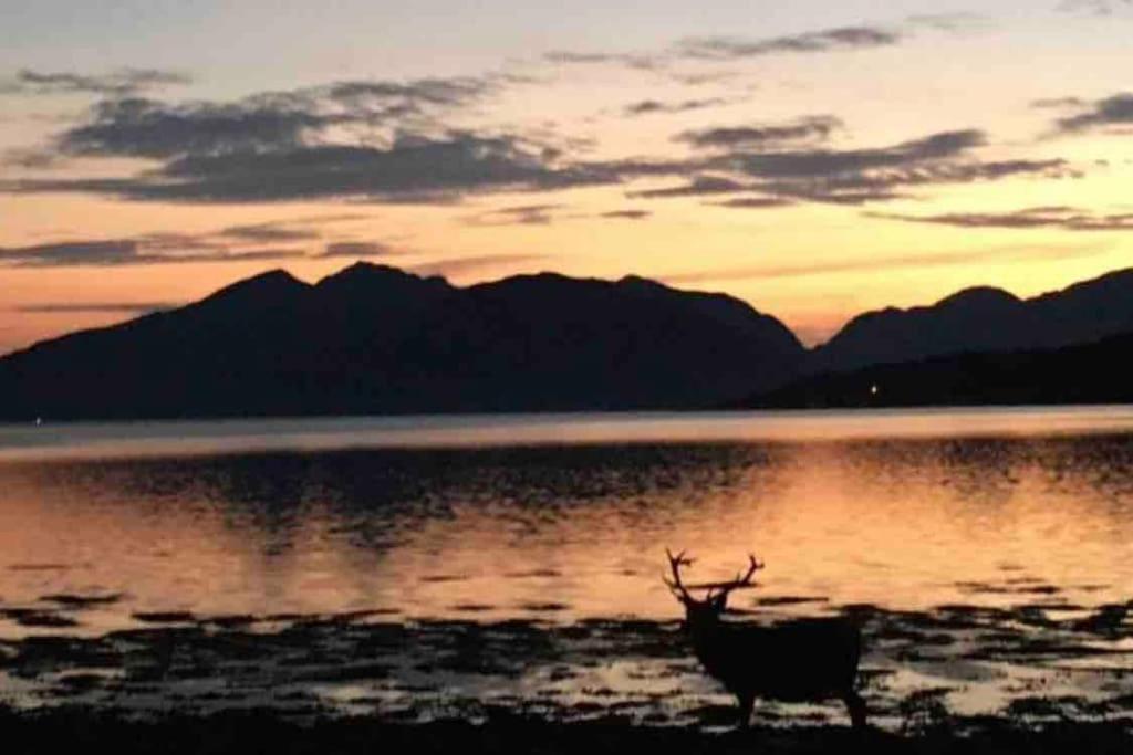 The Fox'S Den, Luxury Cosy Mini Lodge, Highlands North Ballachulish Kültér fotó